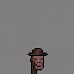 SmolPunk #1308