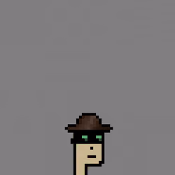 SmolPunk #340