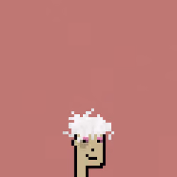 SmolPunk #1189