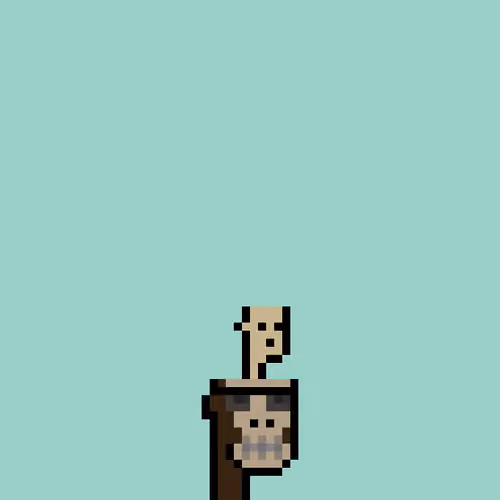 SmolPunk #2091