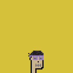 SmolPunk #242