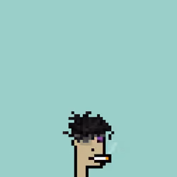 SmolPunk #2502