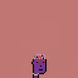 SmolPunk #560