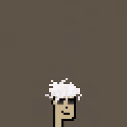 SmolPunk #411
