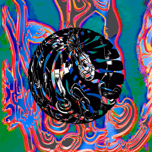 Zora