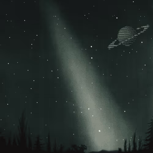 Zora