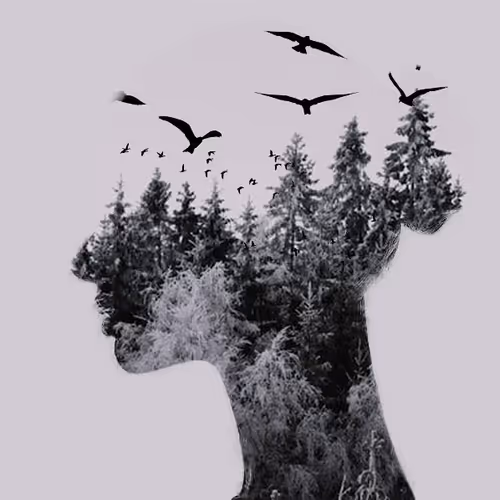 602338.eth Ethereum Name Service (ENS and .eth domain) PFP
