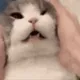16106