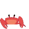 Zora