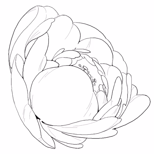 #23903