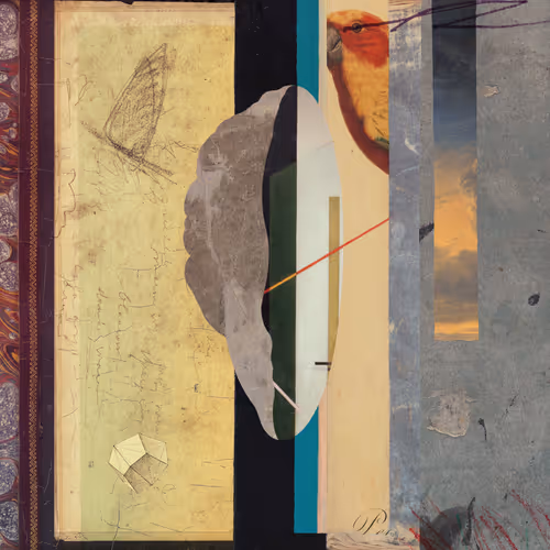 #61 Deconstructed