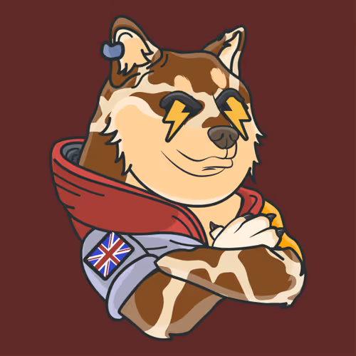 The Space Doge V1
