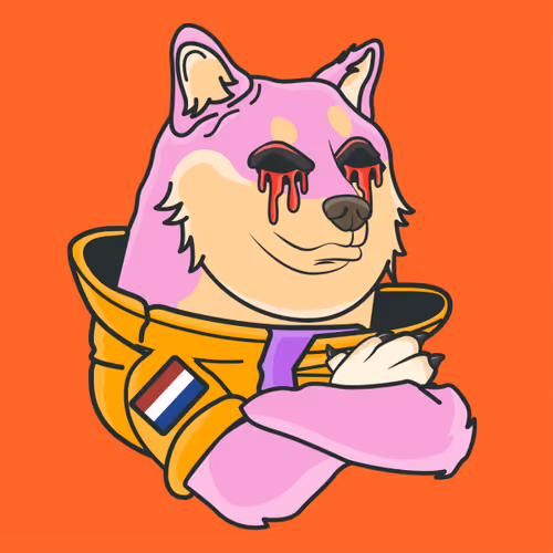 The Space Doge V1