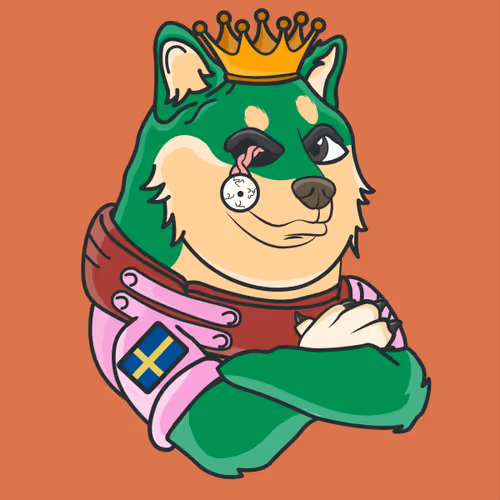 The Space Doge V1