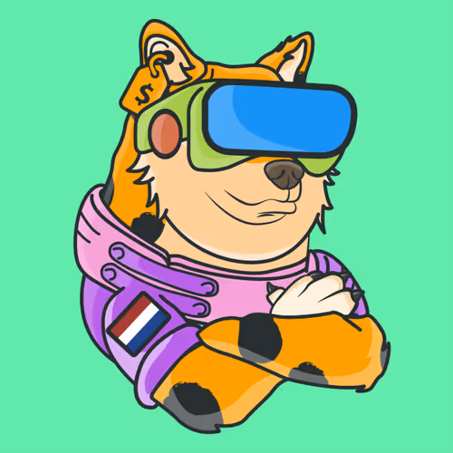The Space Doge V1