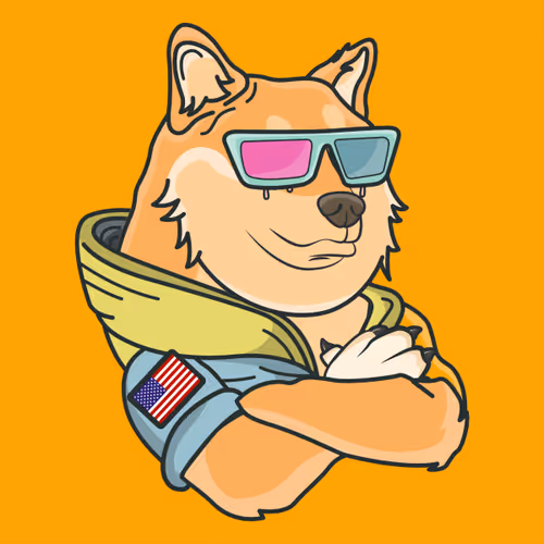 The Space Doge V1