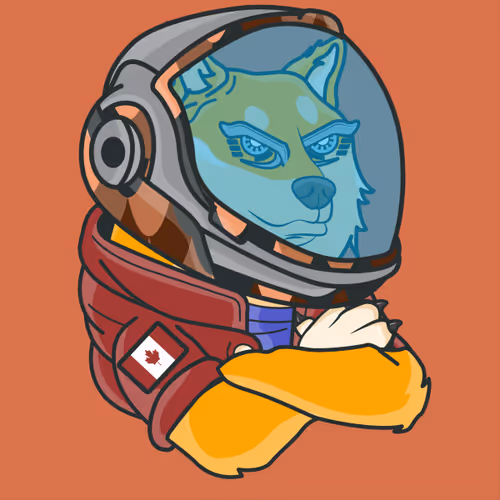 The Space Doge V1