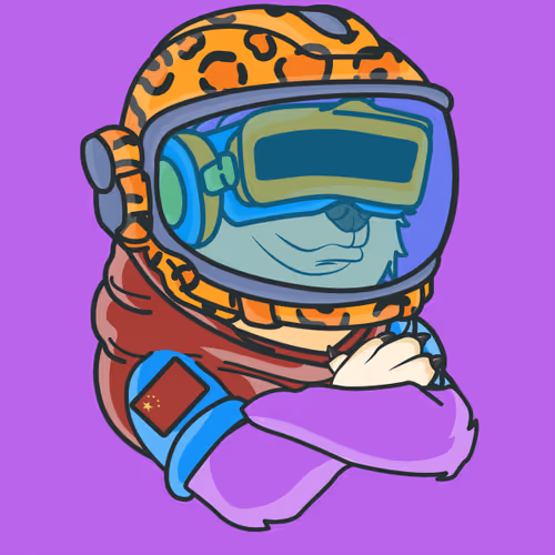The Space Doge V1