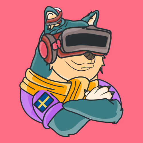 The Space Doge V1