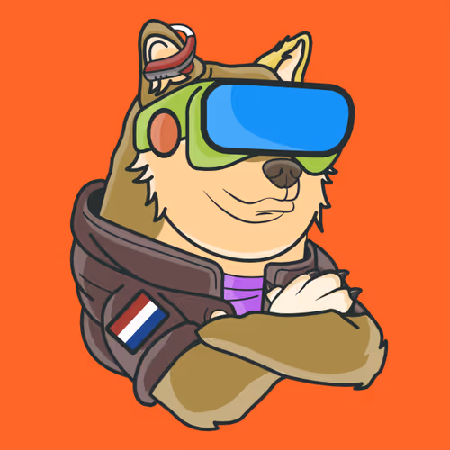 The Space Doge V1