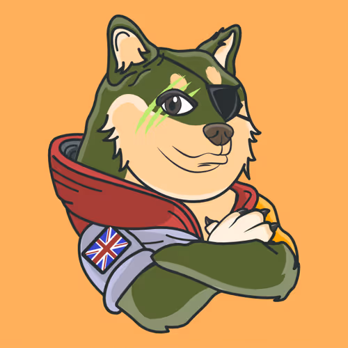 The Space Doge V1