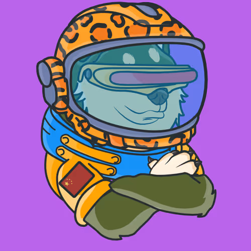 The Space Doge V1