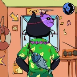 Black In Back Kat#139
