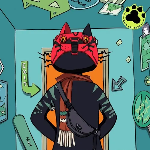 Black In Back Kat#142