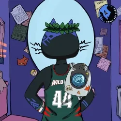 Black In Back Kat#3301