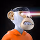 6244