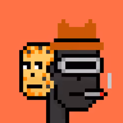 TwoFaced Punk #1429