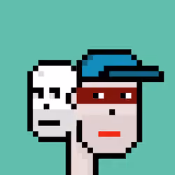 TwoFaced Punk #1143