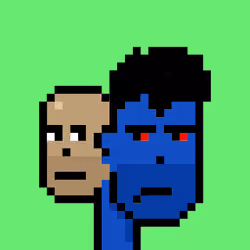 TwoFaced Punk #1039