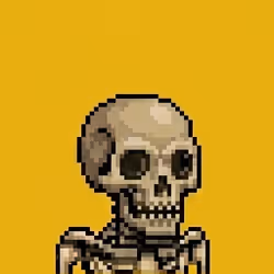 Item Media