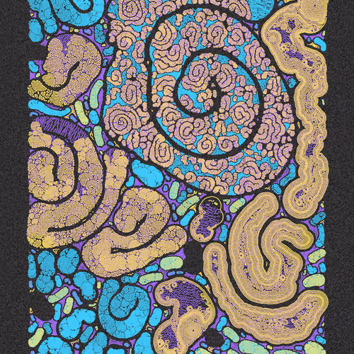 Scribble Together By Minimizer