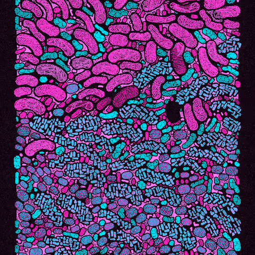 Scribble Together By Minimizer