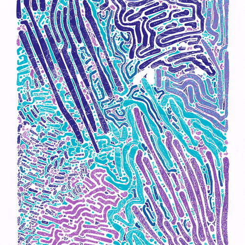 Scribble Together By Minimizer