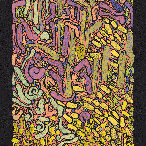 Scribble Together By Minimizer