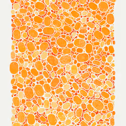 Scribble Together #138