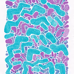 Scribble Together #248