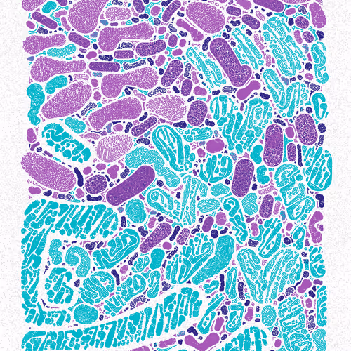 Scribble Together By Minimizer
