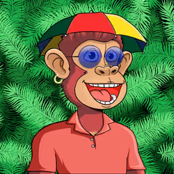 Island Ape #990