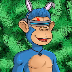Island Ape #343