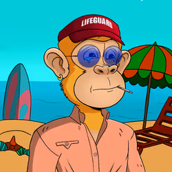 Island Ape #1637