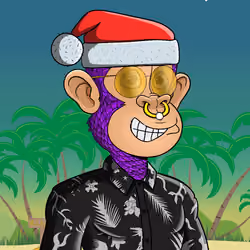 Island Ape #1675