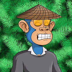 Island Ape #895