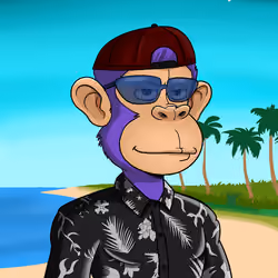Island Ape #902