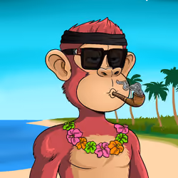 Island Ape #1211