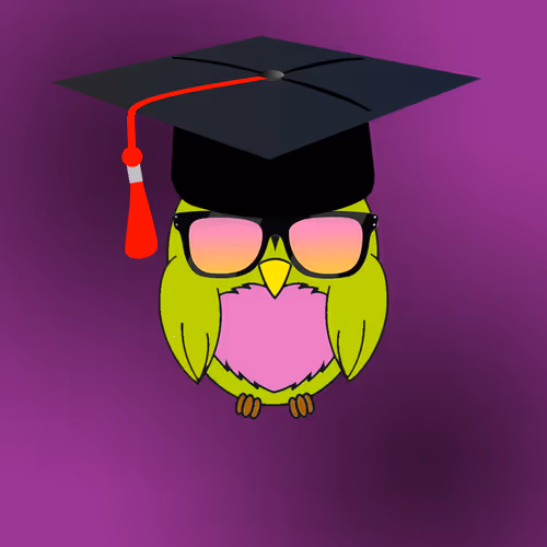 WGMI Owl #518