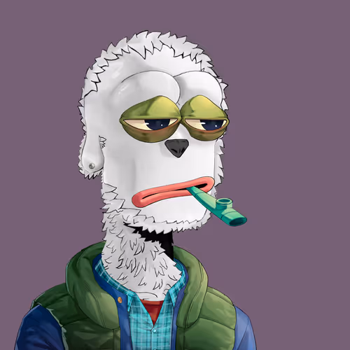Pepe Y00ts Yc